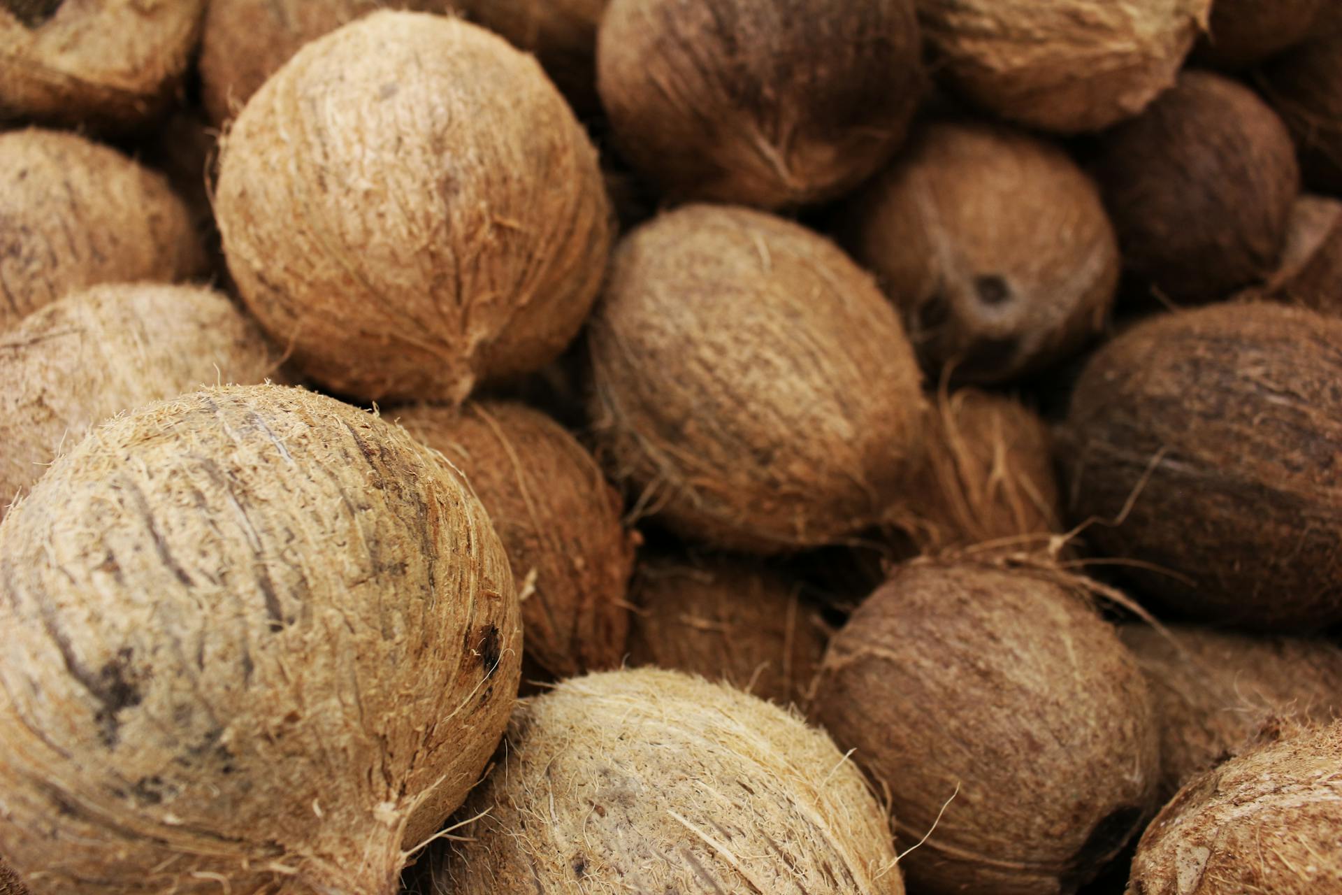 Coconuts